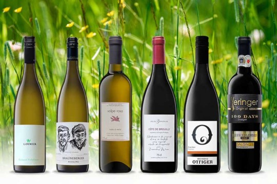 5-Kachel--Frühlings-Special-2026