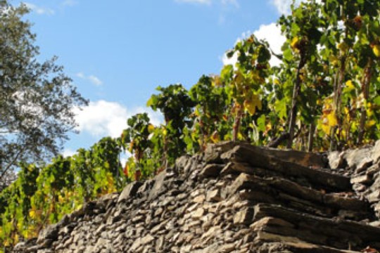 Kachel_Wallis_Les_Corb_9