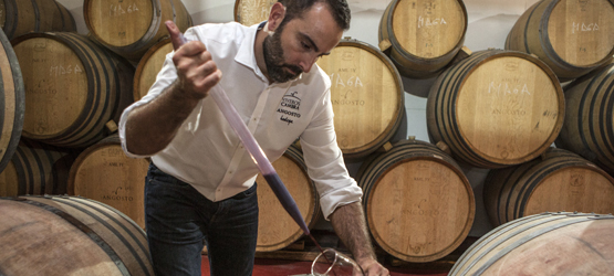 Bodega El Angosto