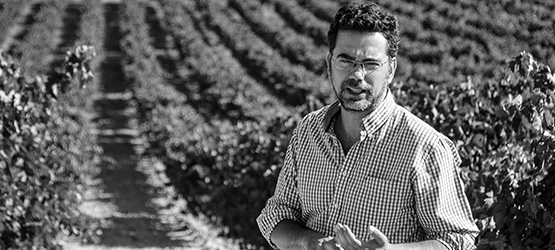 Bodegas Montebaco